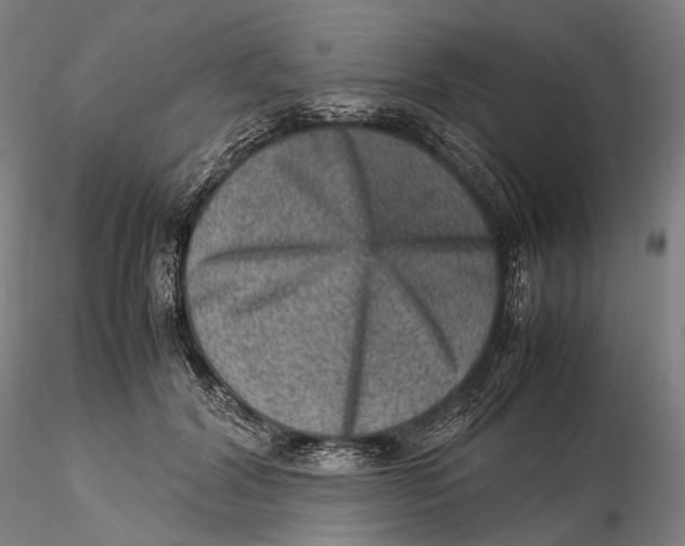 X0000115580604200912011441