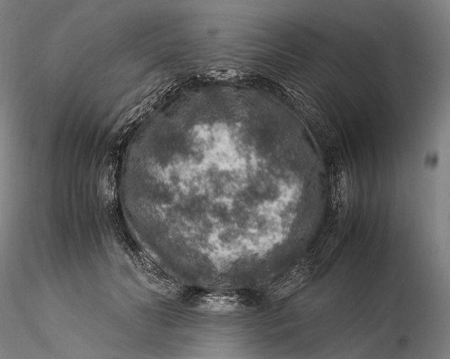 X0000115580606200912011441