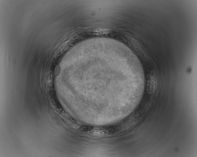 X0000115580608200912011440