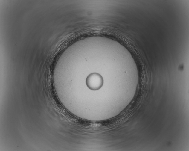 X0000115580609200912011440