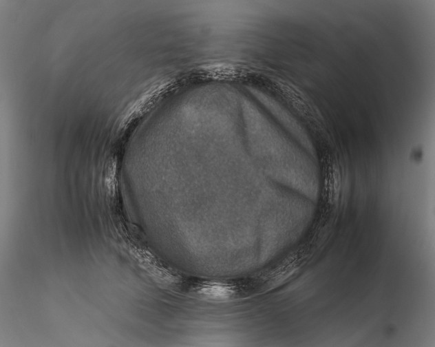 X0000115580610200912011440