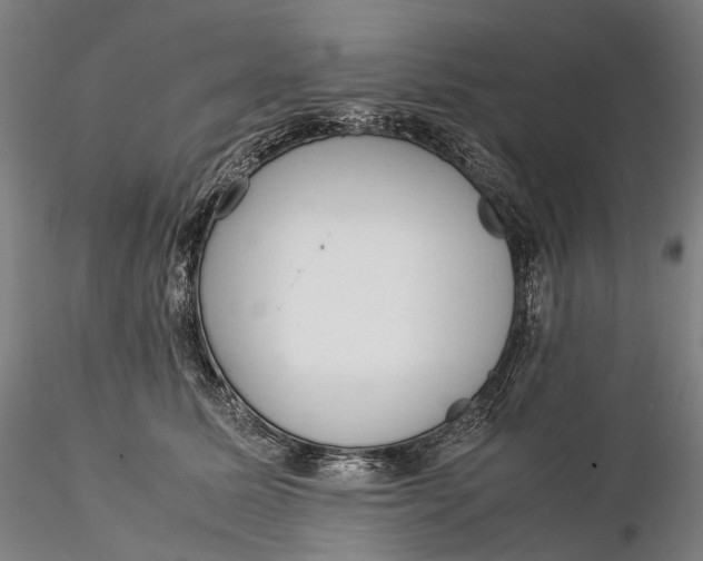 X0000115580611200912011440