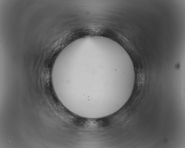 X0000115580613200912011440