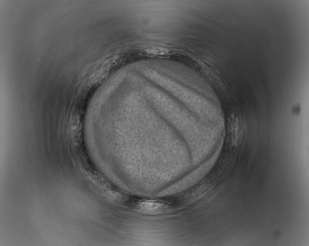 X0000115580614200912011440