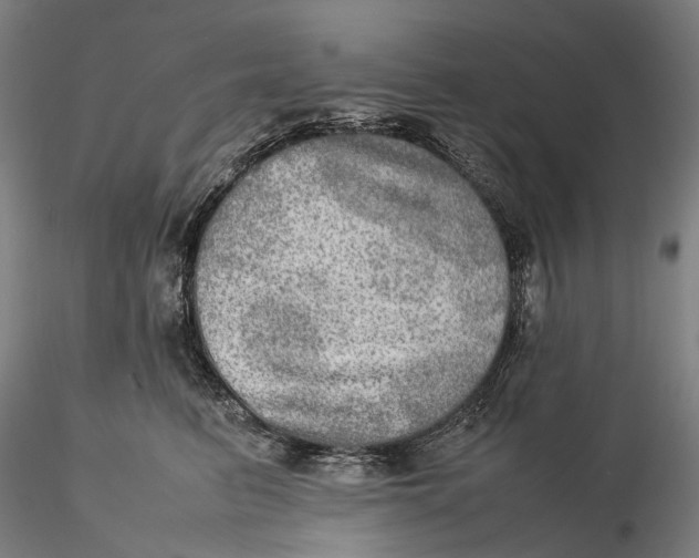 X0000115580615200912011440