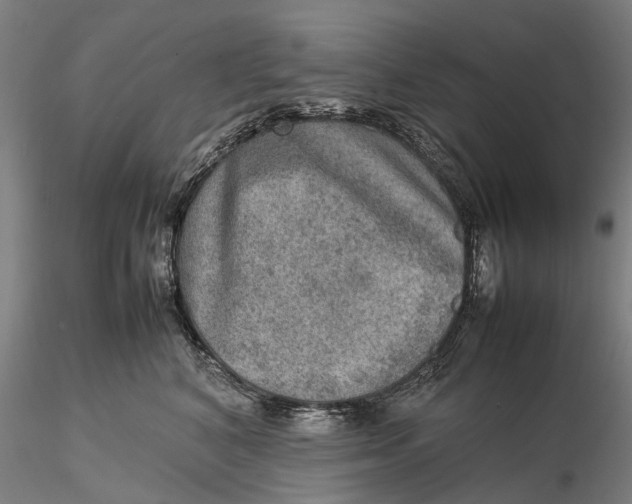 X0000115580616200912011440