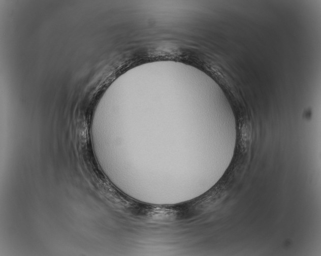 X0000115580617200912011440