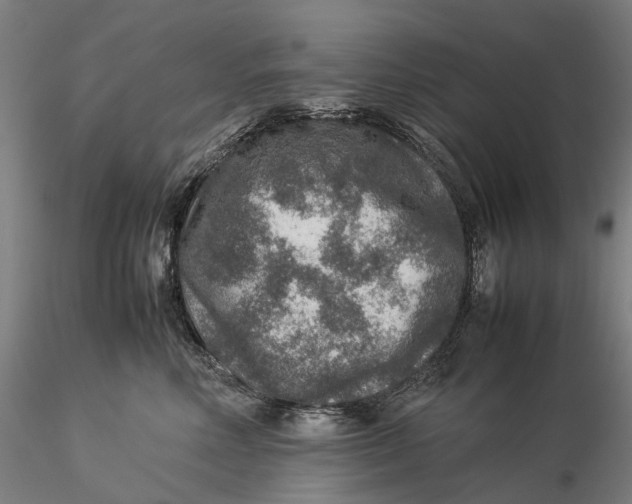 X0000115580618200912011440