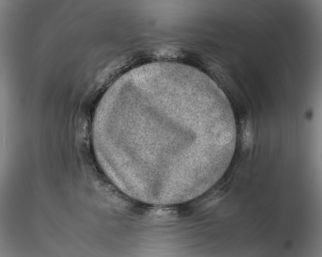 X0000115580619200912011440