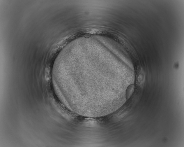 X0000115580620200912011440