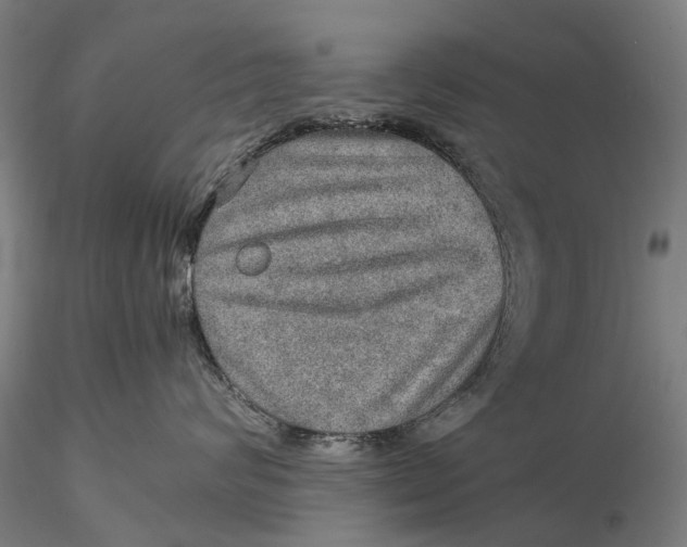 X0000115580624200912011440