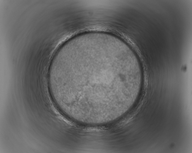 X0000115580625200912011440