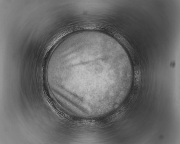 X0000115580626200912011440