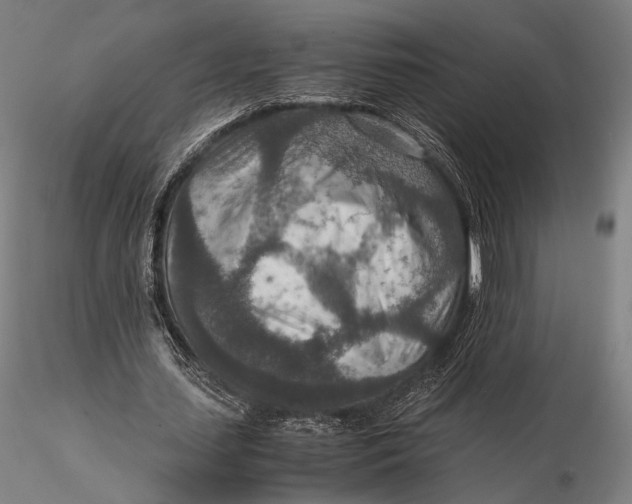 X0000115580627200912011440