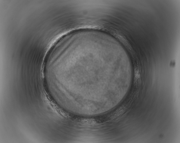 X0000115580628200912011440