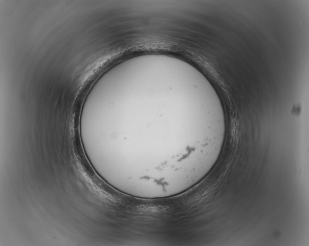 X0000115580629200912011440