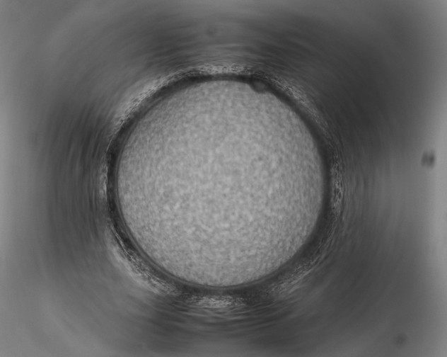 X0000115580631200912011440