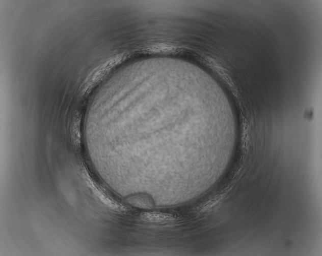 X0000115580633200912011440