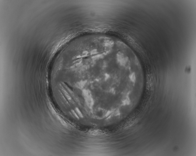 X0000115580634200912011440