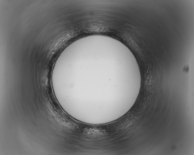 X0000115580635200912011440