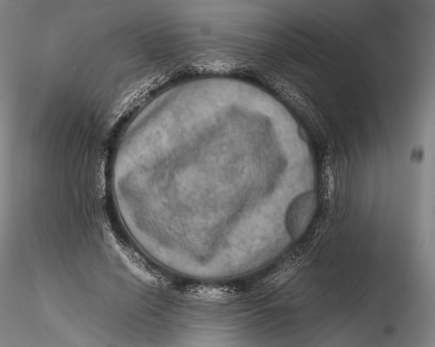 X0000115580638200912011440