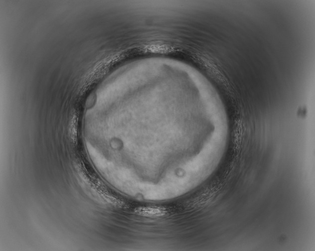 X0000115580639200912011440