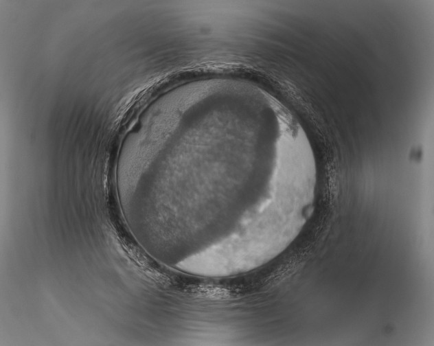 X0000115580640200912011440