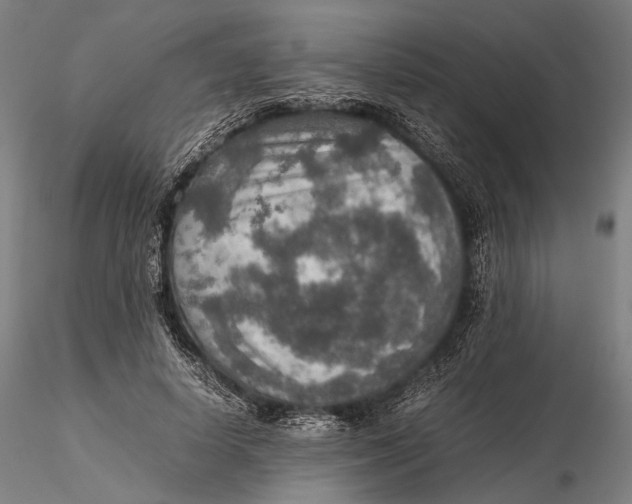 X0000115580642200912011440