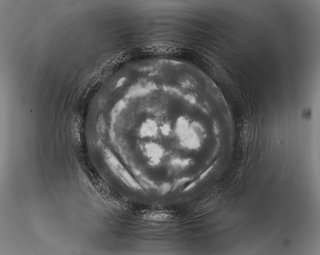 X0000115580643200912011440