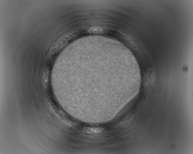 X0000115580645200912011440