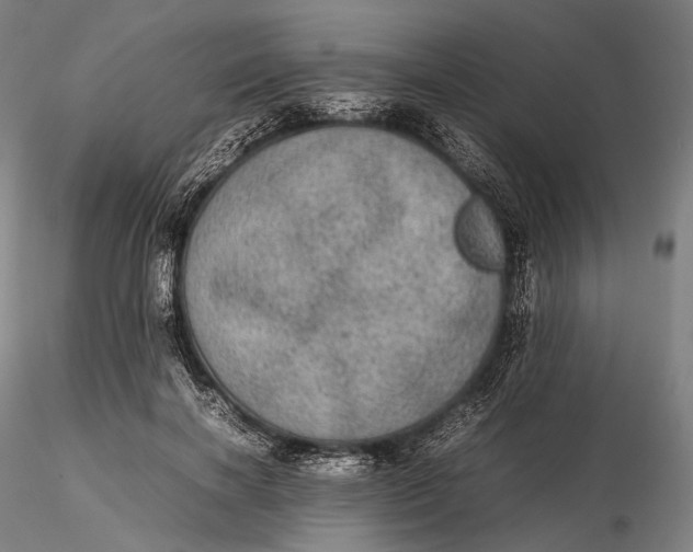 X0000115580646200912011440