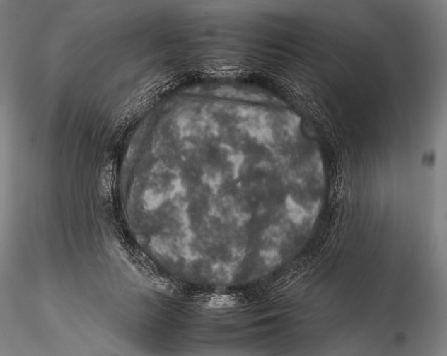 X0000115580647200912011440