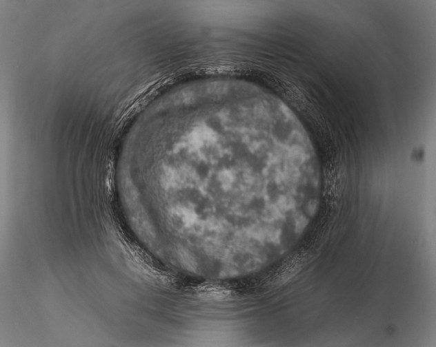 X0000115580648200912011440