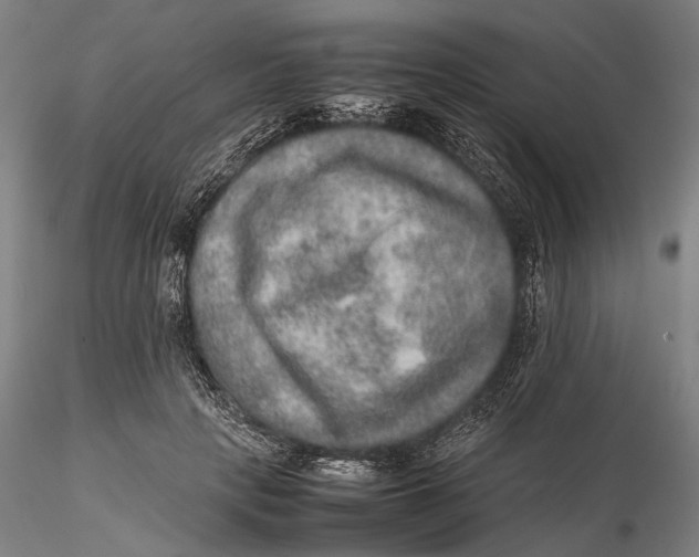 X0000115580649200912011440