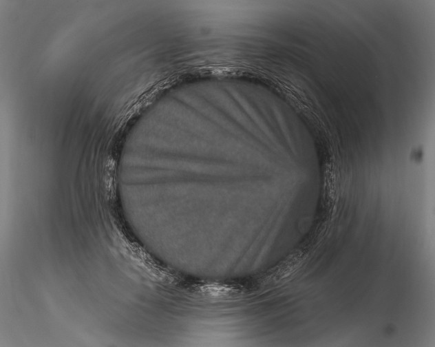 X0000115580650200912011440