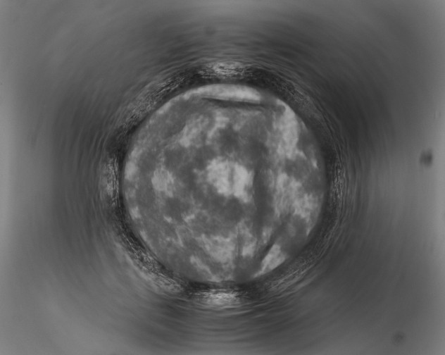 X0000115580651200912011440