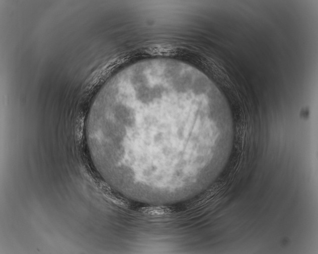 X0000115580652200912011440