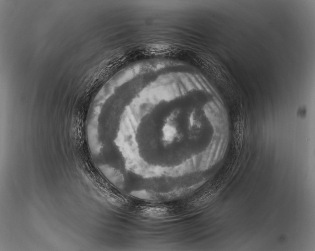 X0000115580653200912011440