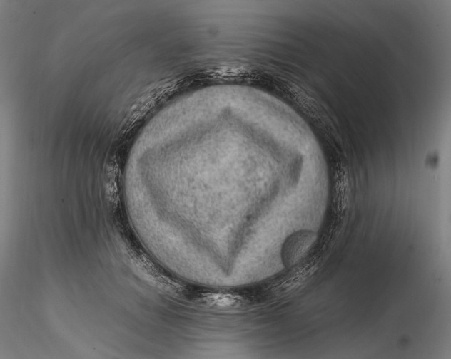 X0000115580654200912011440