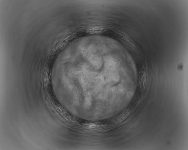 X0000115580655200912011440