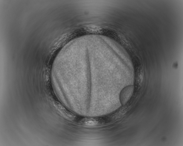 X0000115580658200912011440