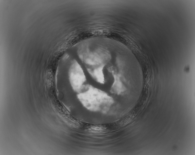 X0000115580659200912011440