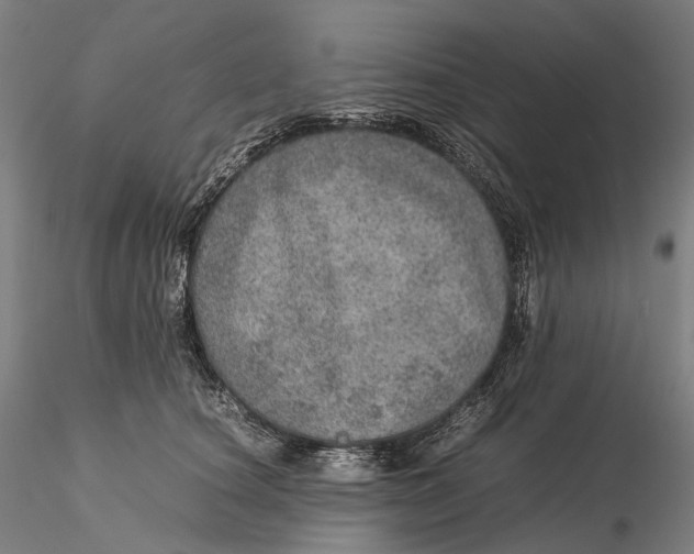 X0000115580660200912011440