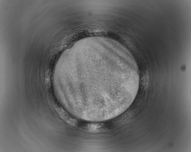 X0000115580662200912011440