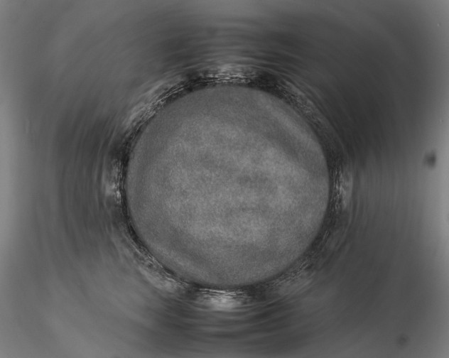 X0000115580663200912011440