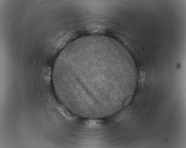 X0000115580664200912011440