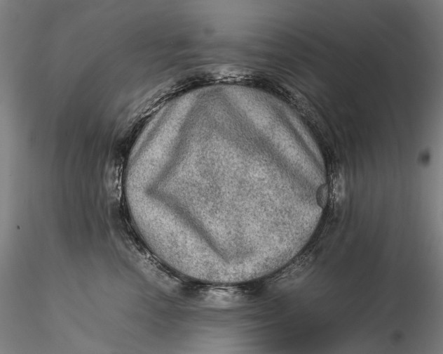 X0000115580666200912011440