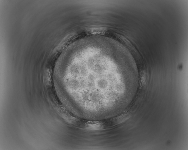 X0000115580667200912011440