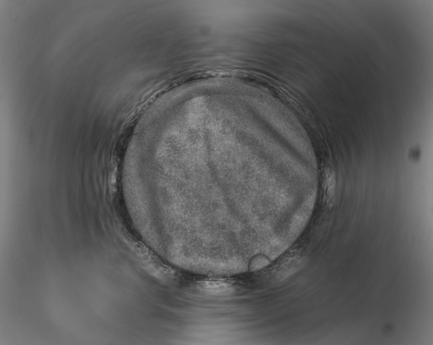 X0000115580668200912011440