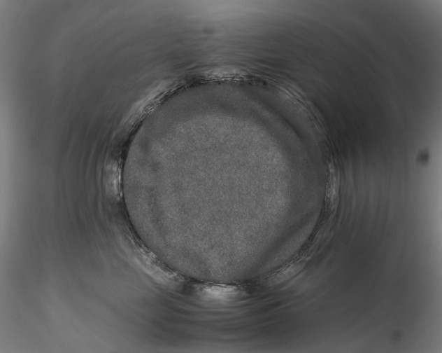 X0000115580669200912011440